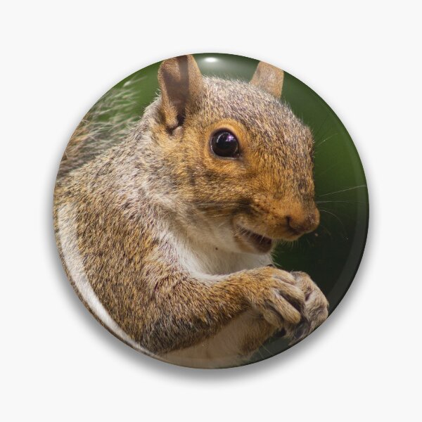 Item preview, Grey Squirrel designed and sold by ellenmpics.