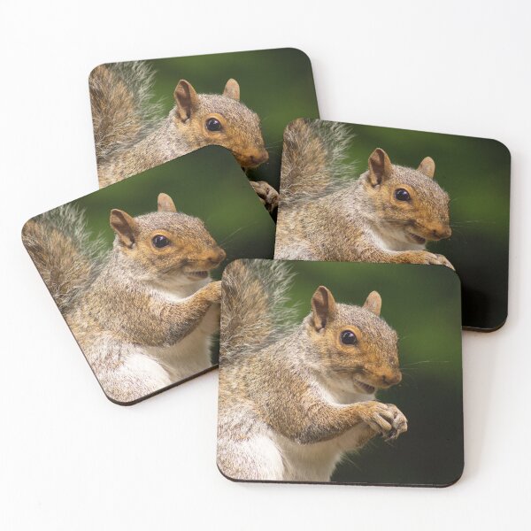 Item preview, Grey Squirrel designed and sold by ellenmpics.
