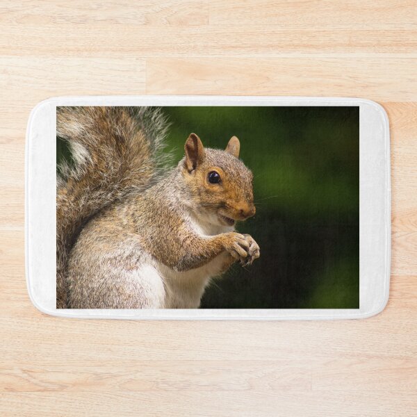 Item preview, Grey Squirrel designed and sold by ellenmpics.