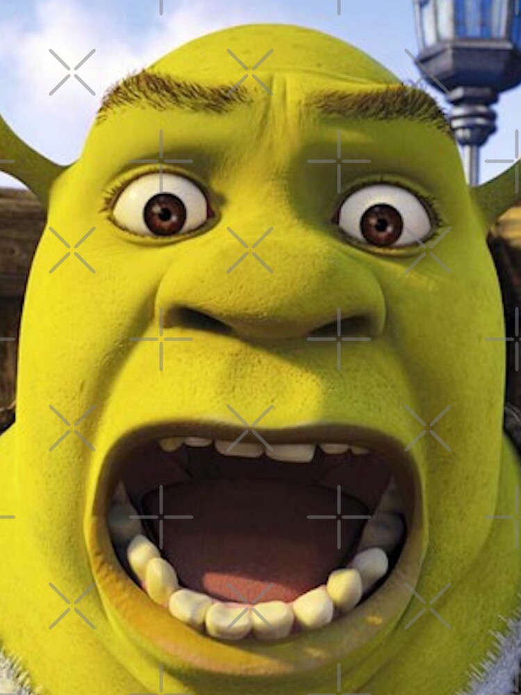 Download Funny Shrek Embarrassed Meme Wallpaper