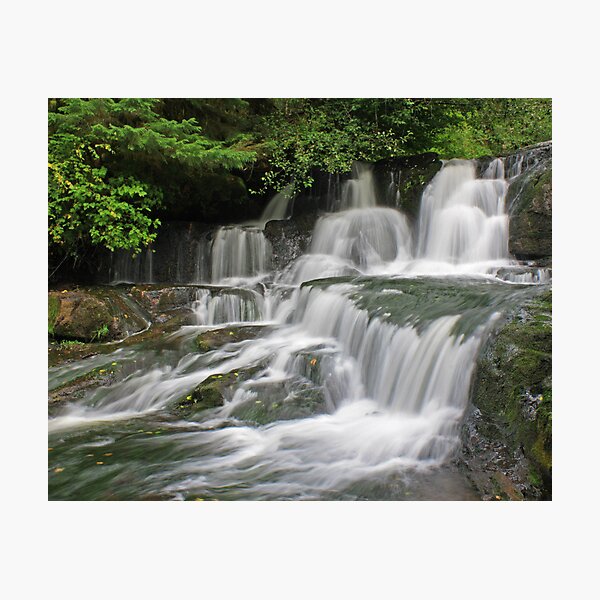 Alsea Falls, Oregon Photographic Print
