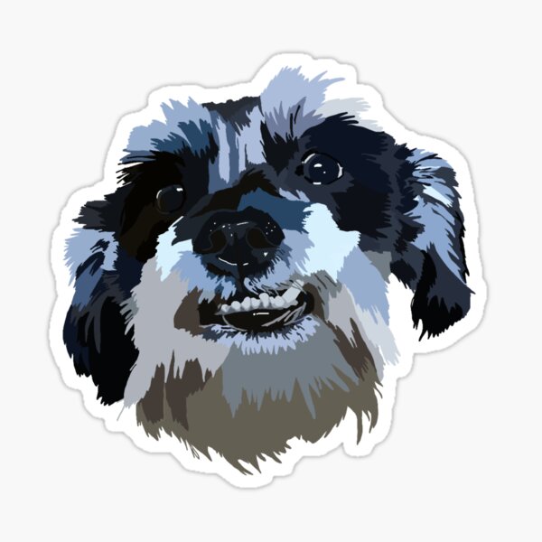 Miniature Schnauzer with Tooth Sticker