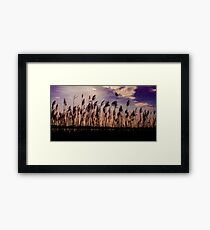Dusk Framed Print