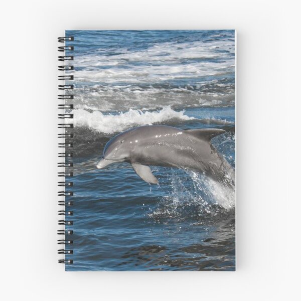 Item preview, Dolphin Love designed and sold by Jacquelie.