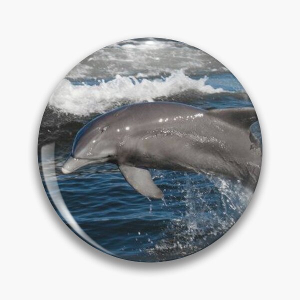 Item preview, Dolphin Love designed and sold by Jacquelie.