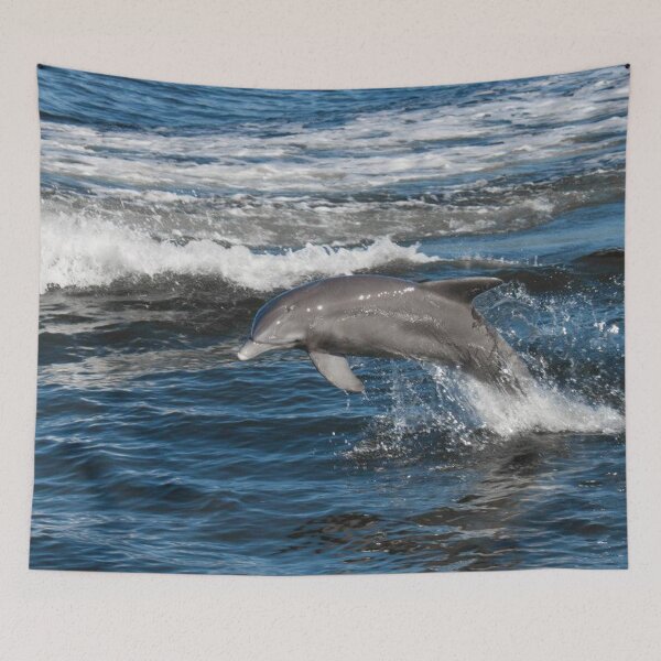 Item preview, Dolphin Love designed and sold by Jacquelie.