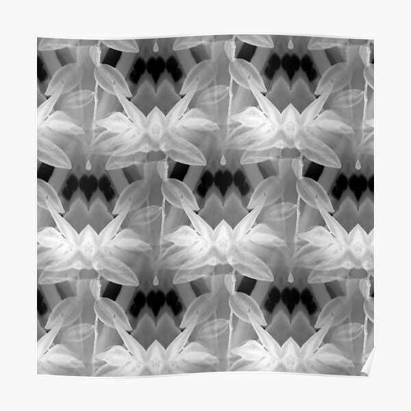 "xray vision" Poster by AstraeaDesigns Redbubble