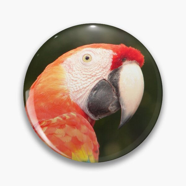 Item preview, Parrot in Honduras designed and sold by Isabellasarts.