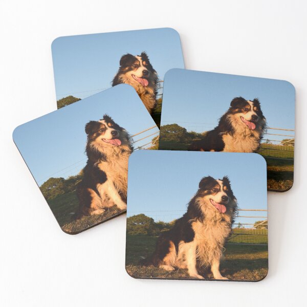 Item preview, Could it be Magic. designed and sold by Michael Haslam.
