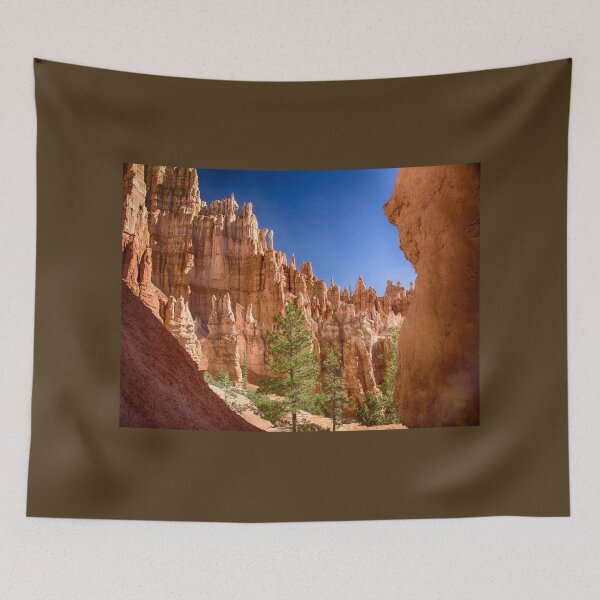 Artikelvorschau, Hoodoos im Canyon _ Bryce National Park - Utah entworfen und verkauft von Kathy Weaver.