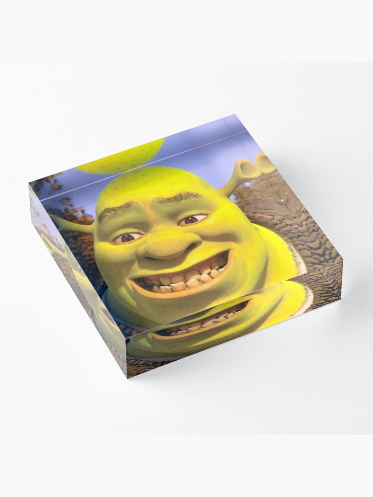 Shrek 2 - Shrek Awkward Smiling Photographic Print for Sale by volkaneeka