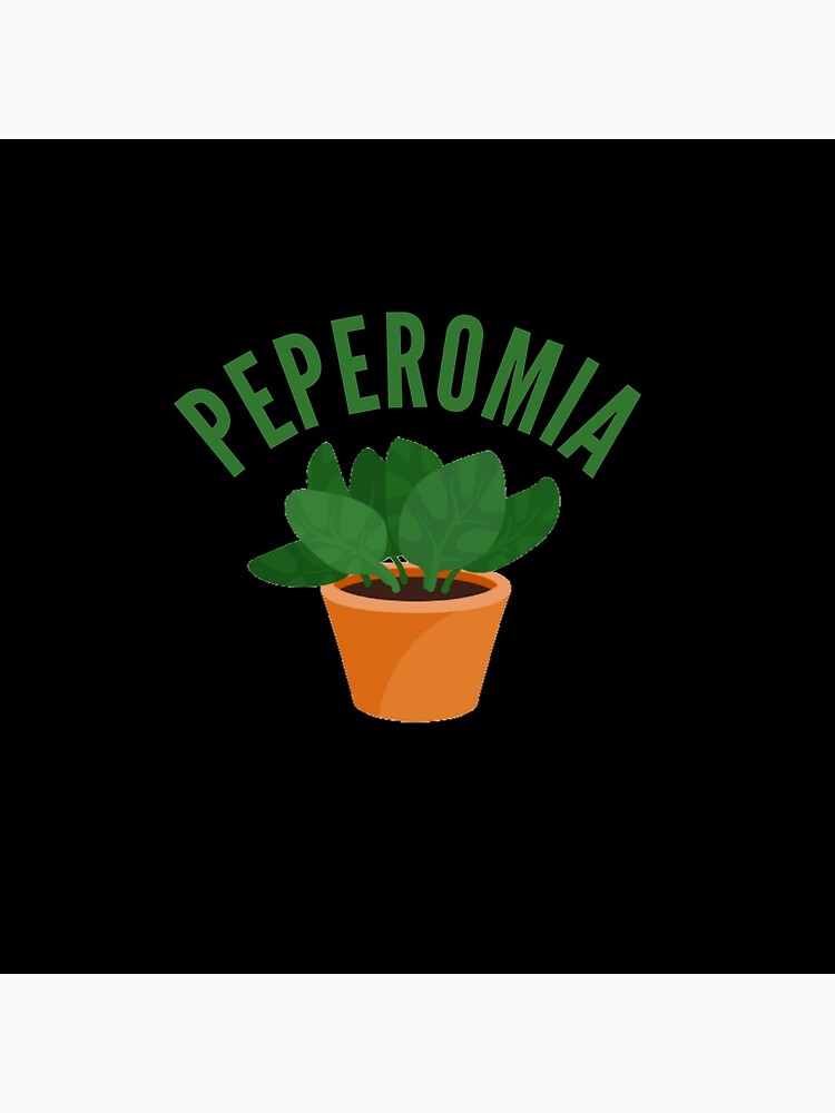 Discover Peperomia plant Premium Matte Vertical Poster