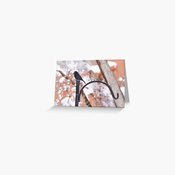 Hooked on You Greeting Card