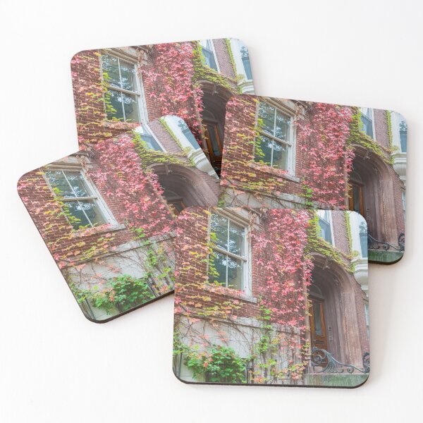 Item preview, Victorian homes from street in Boston red brick exterior with Boston ivy in autumn colors  designed and sold by Brian Scantlebury.