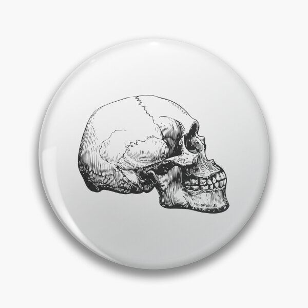 Item preview, Anatomical Skull designed and sold by ThrowBack-Clot.