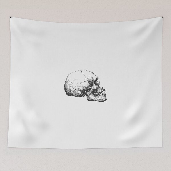 Item preview, Anatomical Skull designed and sold by ThrowBack-Clot.