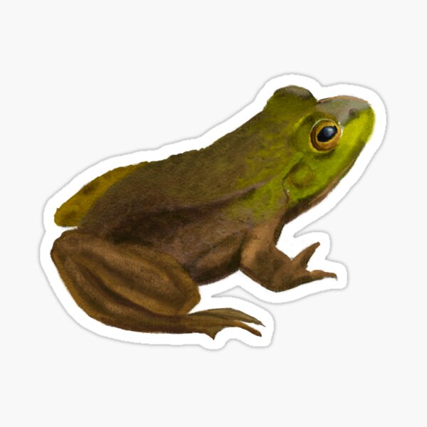 Frog Sticker