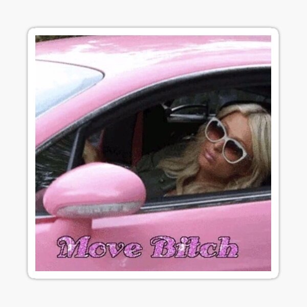 Move Bitch- Paris Hilton Sticker