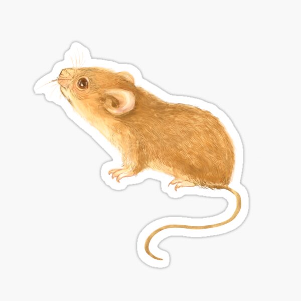 Mouse 1 Sticker