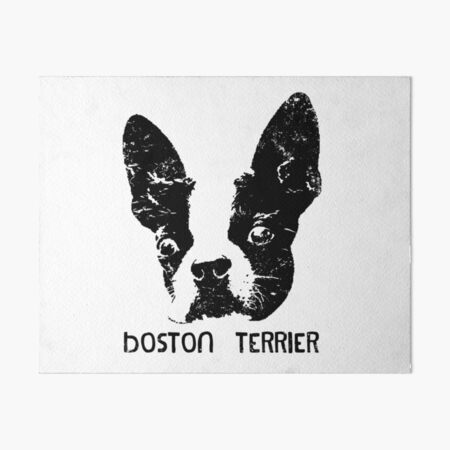 Item preview, Boston Terrier (American Gentleman) Dog designed and sold by JLGiles.