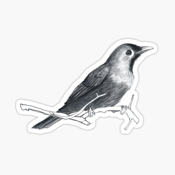 I'll Be Your Bird Sticker