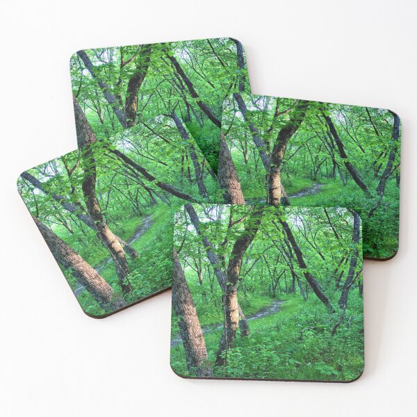 Item preview, Mayne's Trail designed and sold by LynyrdSky.