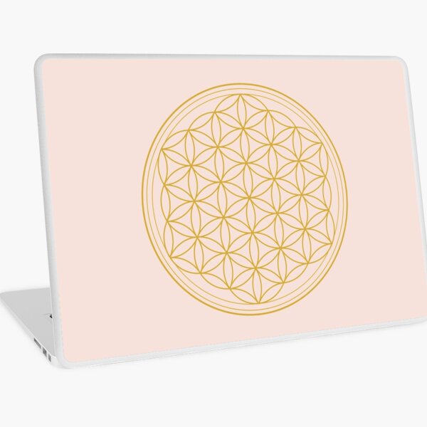 shape and structure. ** From the times of the Great Civilizations to the present day it is attributed Laptop Skin