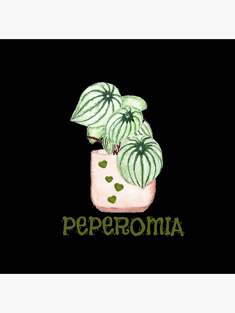 Discover Peperomia plant Premium Matte Vertical Poster