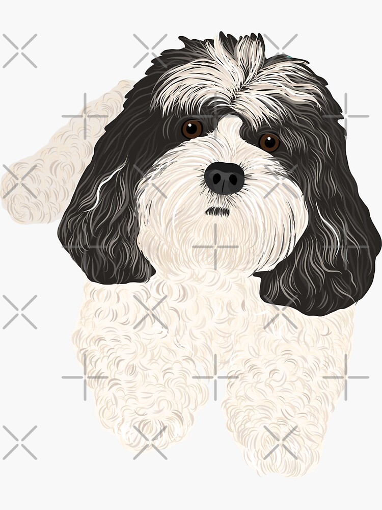 "Cavachon Illustration" Sticker for Sale by pgmdesigns | Redbubble