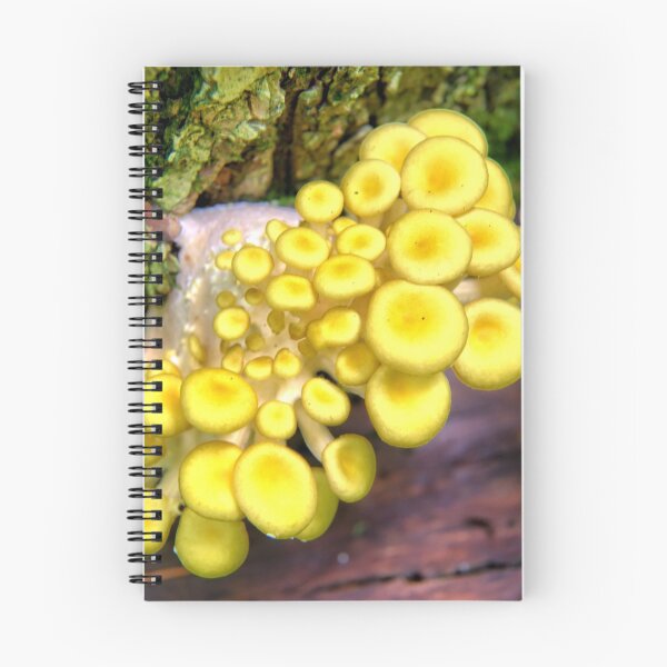 Item preview, Yellow Oyster Colony designed and sold by LynyrdSky.