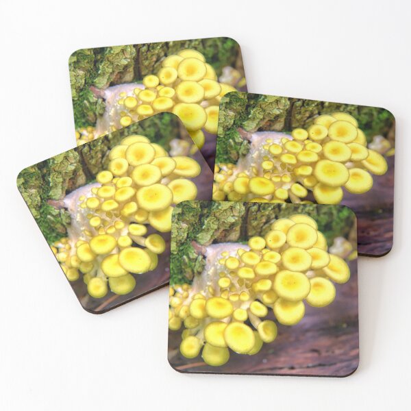Item preview, Yellow Oyster Colony designed and sold by LynyrdSky.