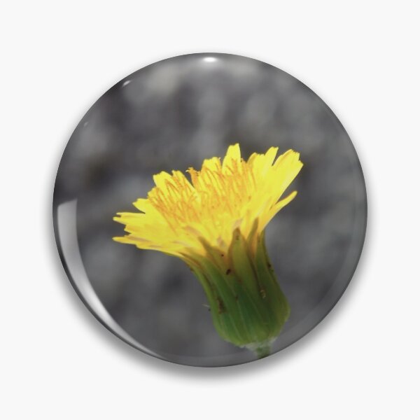 Item preview, © NS El 26 IA. designed and sold by OmarHernandez.