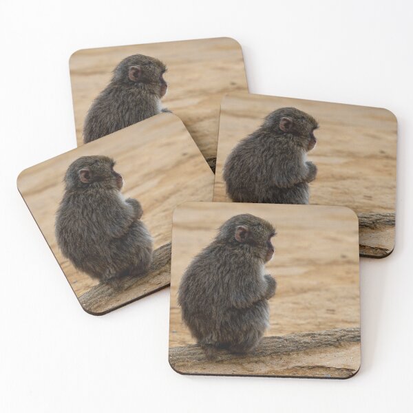 Item preview, Moody Macaque Monkey at Iwatayama Park in Osaka, Japan designed and sold by Solaris13man.