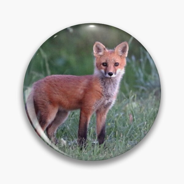 Item preview, Sweet Red Fox Kit designed and sold by Deb Oppermann.