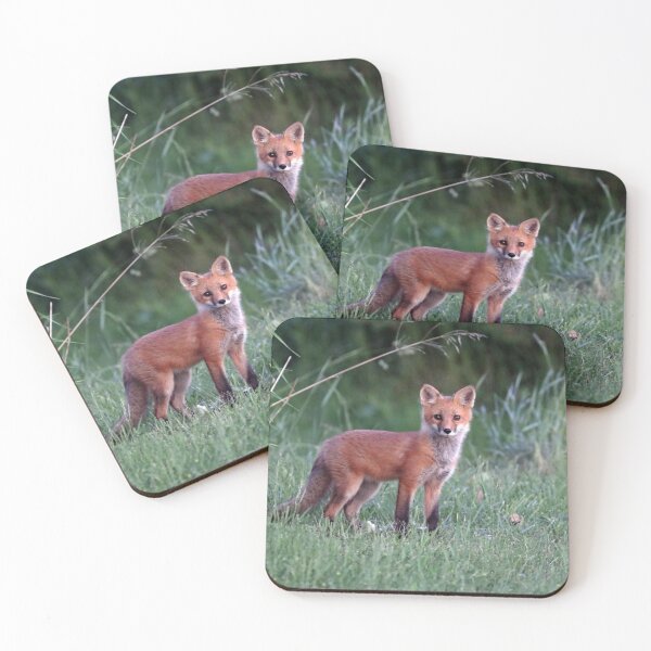 Item preview, Sweet Red Fox Kit designed and sold by Deb Oppermann.
