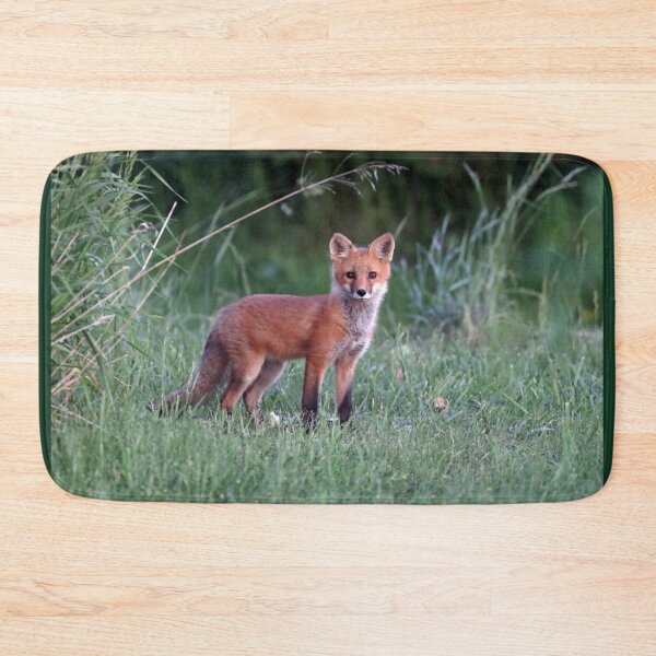 Item preview, Sweet Red Fox Kit designed and sold by Deb Oppermann.
