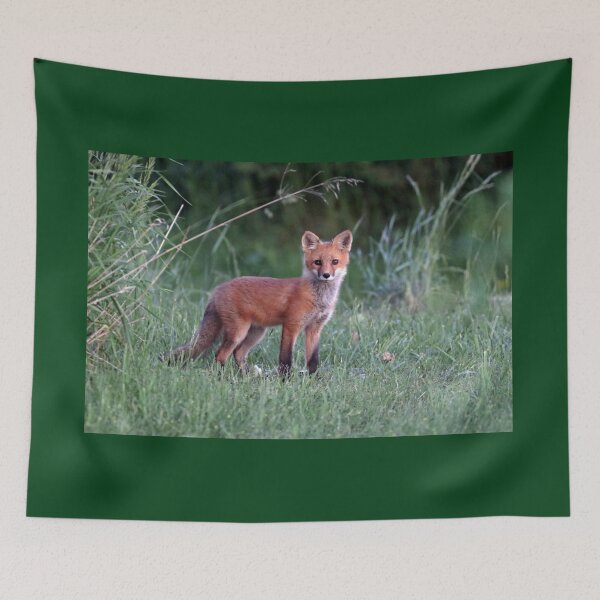 Item preview, Sweet Red Fox Kit designed and sold by Deb Oppermann.