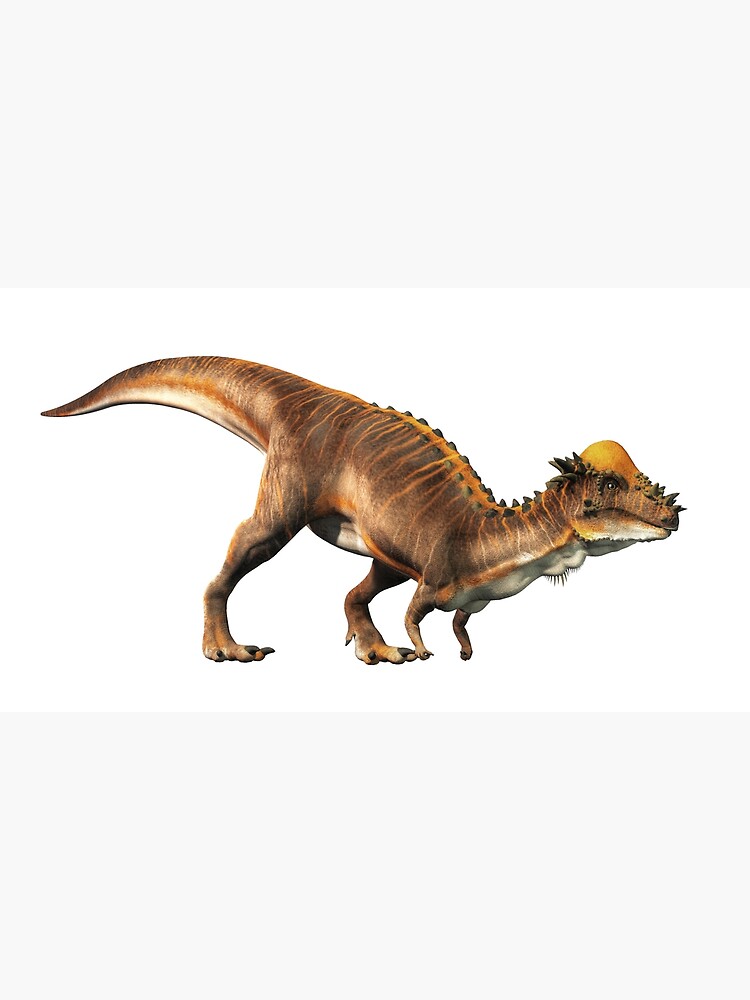 Pachycephalosaurus