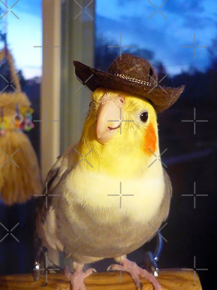 yeehaw-cowboy-bird-meme-t-shirt-by-resetbios-redbubble