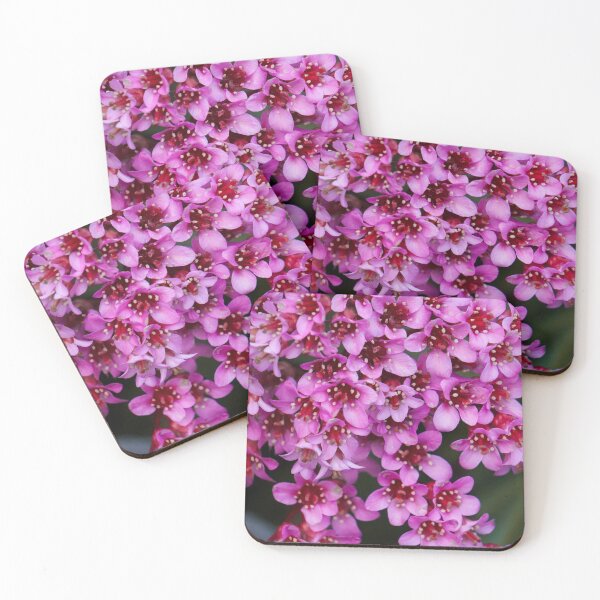 Item preview, pink wildflower designed and sold by Natalie Stark.