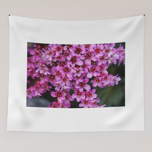 Item preview, pink wildflower designed and sold by Natalie Stark.