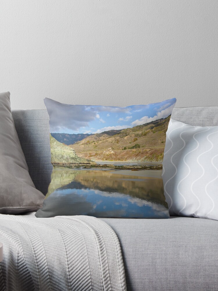 Item preview, Throw Pillow designed and sold by littleoldhag.