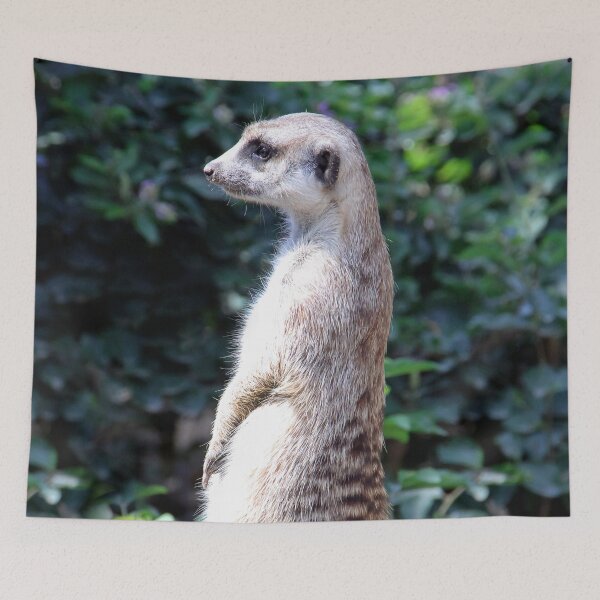 Item preview, The Lookout  designed and sold by heatherfriedman.