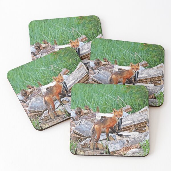 Item preview, Time To Go Hunting designed and sold by Deb Oppermann.