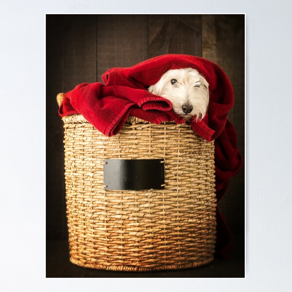 Item preview, Puppy Laundry Day designed and sold by peanutroaster.