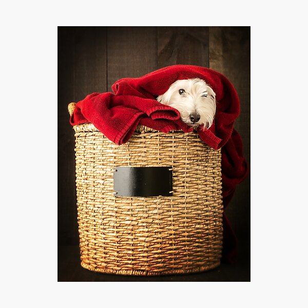 Item preview, Puppy Laundry Day designed and sold by peanutroaster.