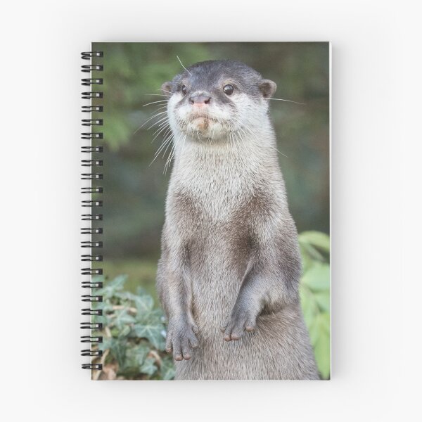 Item preview, Otter paw-trait designed and sold by Anthony Brewer.