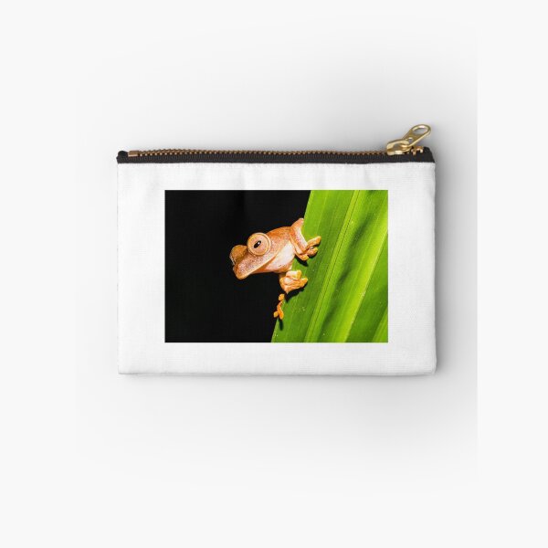 Item preview,  Borneo Tree Frog designed and sold by Lee Wilson.