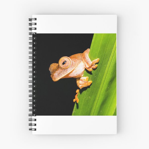 Item preview,  Borneo Tree Frog designed and sold by Lee Wilson.