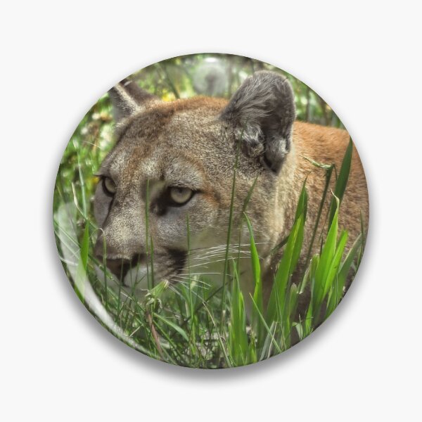 Item preview, Panther on the Prowl designed and sold by Karen Peron.